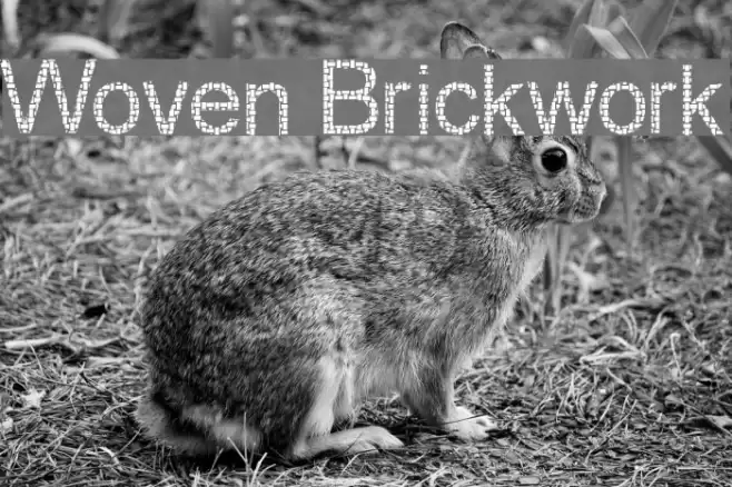 Woven Brickwork Font examples