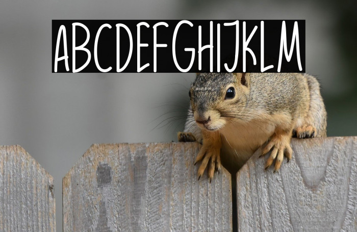 Wow Darling Example 1