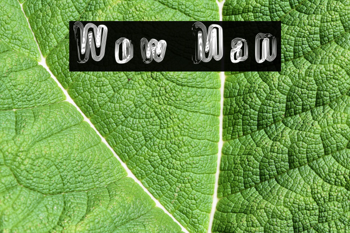 Wow Man Font examples