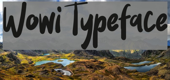 Wowi Typeface Шрифта examples