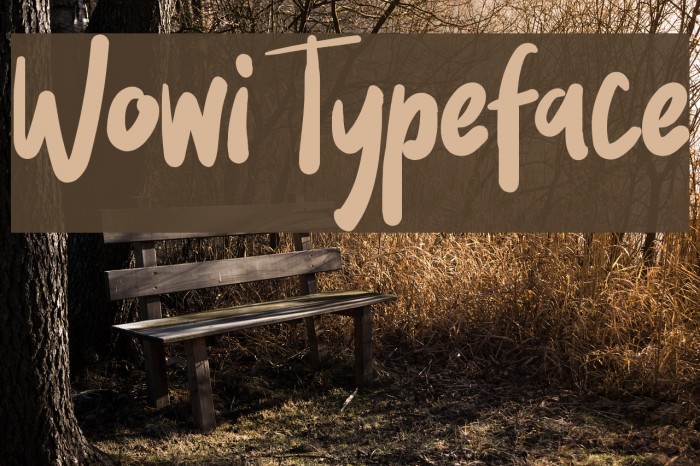 Wowi Typeface Шрифта examples