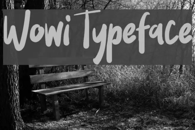 Wowi Typeface Шрифта examples