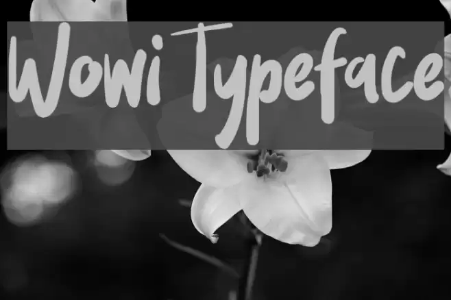 Wowi Typeface Шрифта examples