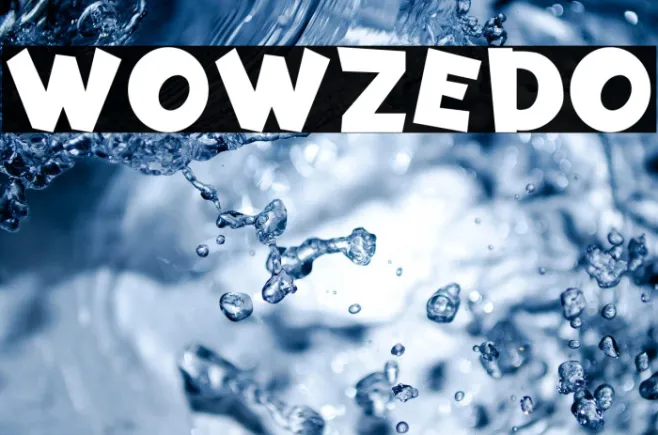 Wowzedo Example 1