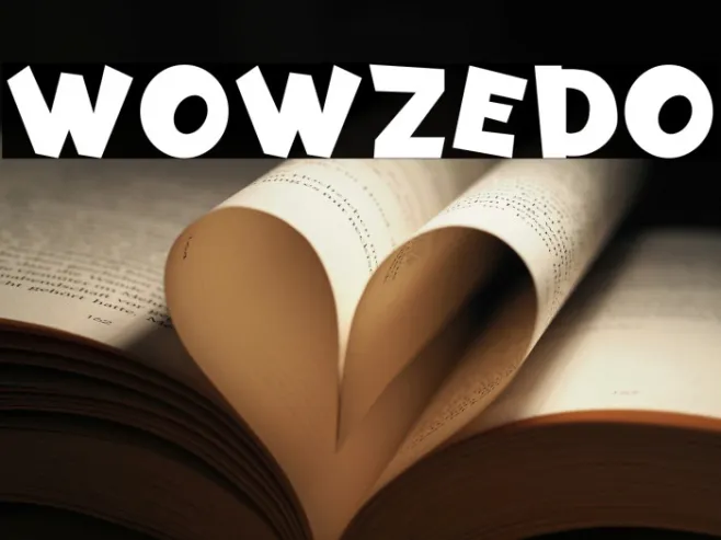 Wowzedo Example 3