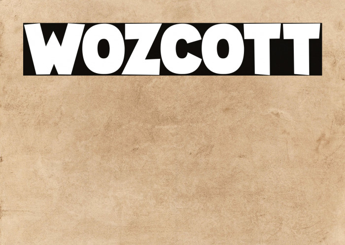 Wozcott Fonte examples