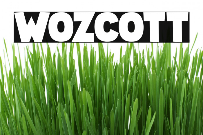 Wozcott Fonte examples