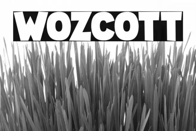 Wozcott フォント examples