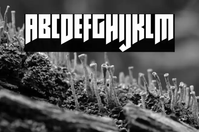 wolfenstein(RUS BY LYAJKA) Font examples