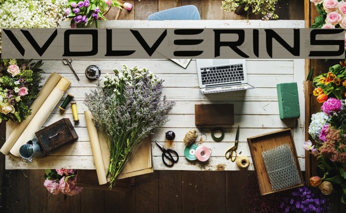 wolverins Font examples