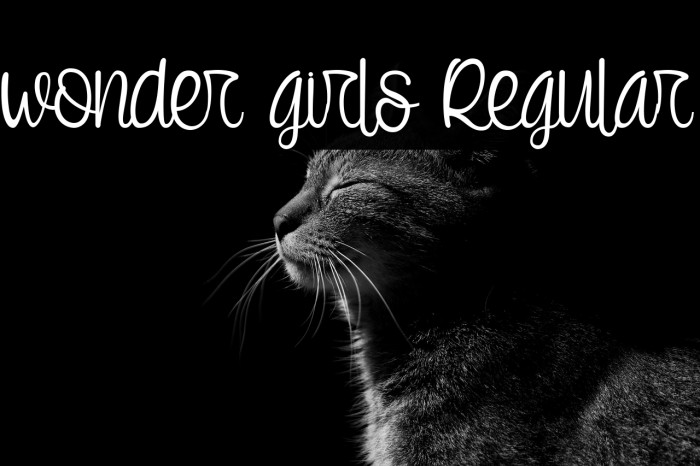 wonder girls Regular Example 1