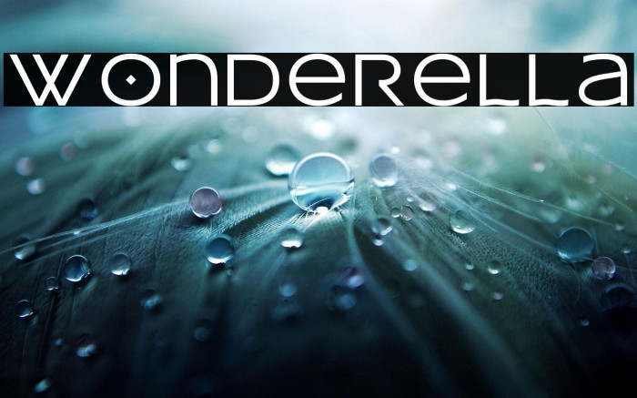 wonderella Example 3