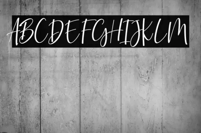 wongsolo Font examples