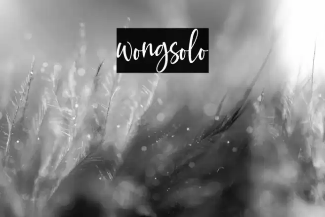 wongsolo Font examples