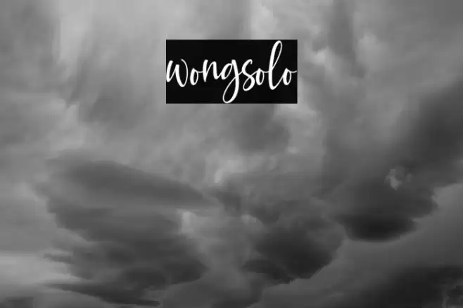 wongsolo Font examples