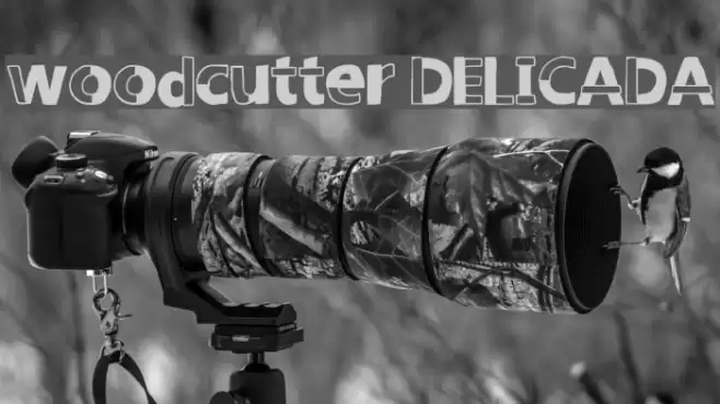 woodcutter DELICADA Font examples