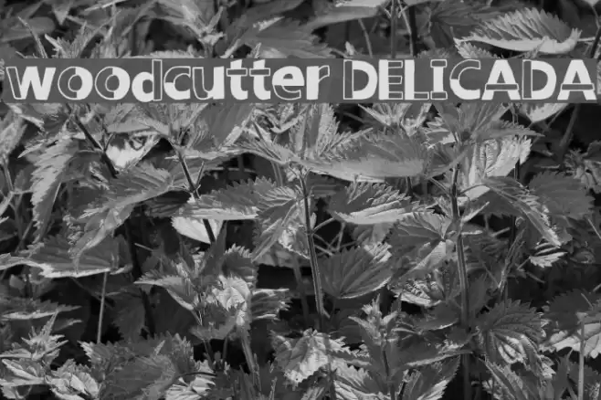 woodcutter DELICADA Font examples