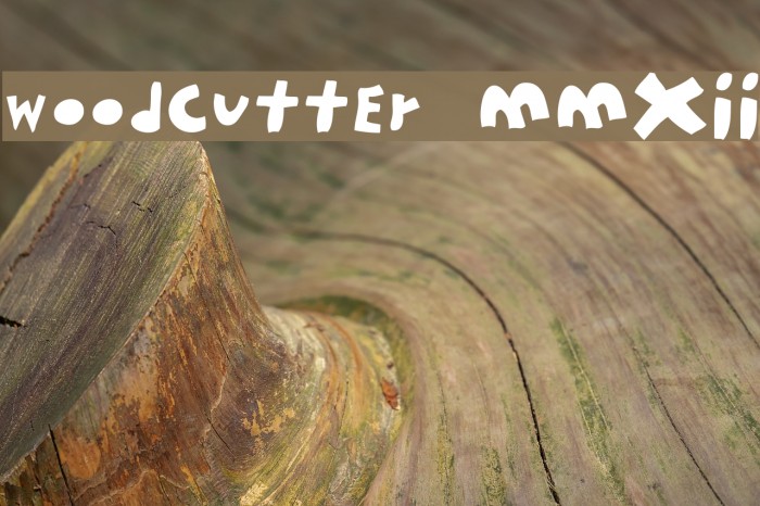 woodcutter MMXII Font examples