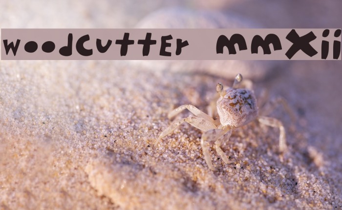 woodcutter MMXII Font examples