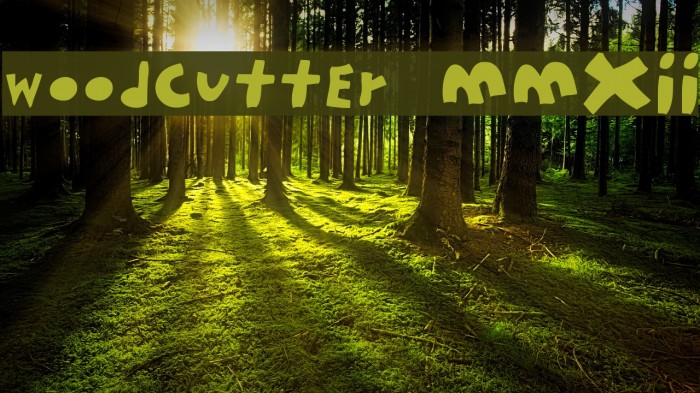 woodcutter MMXII Font examples