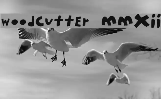 woodcutter MMXII Font examples