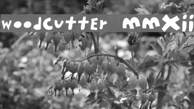 woodcutter MMXII Font examples