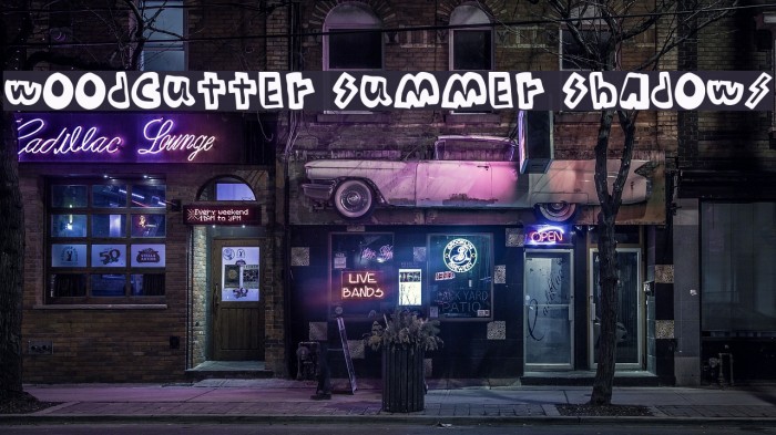 woodcutter Summer Shadows Font examples