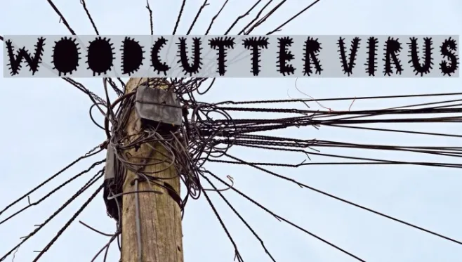 woodcutter VIRUS Example 3