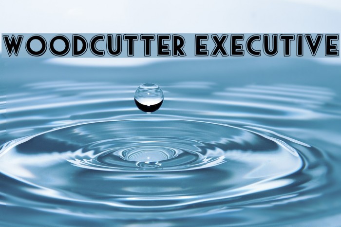 woodcutter executive Font examples