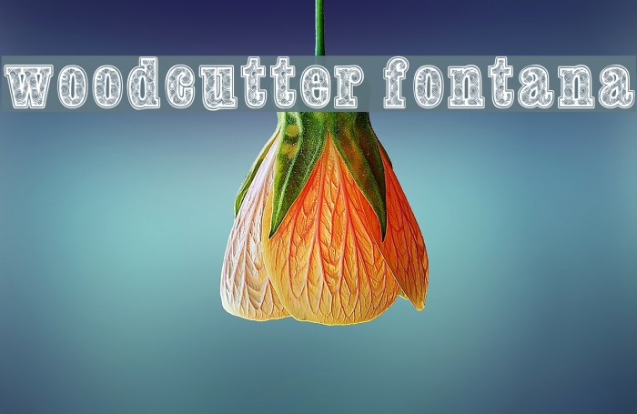 woodcutter fontana Font examples