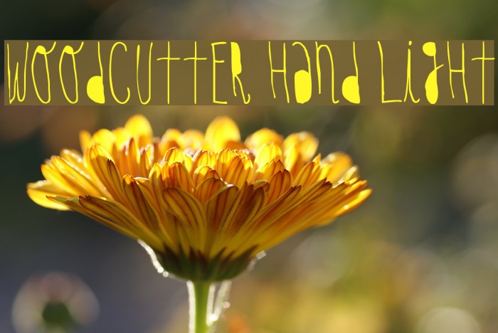 woodcutter hand light Example 3