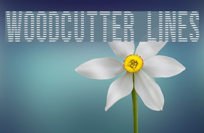 woodcutter lines Example 2