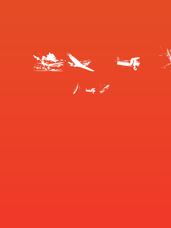 world war II warplanes 2 Poster