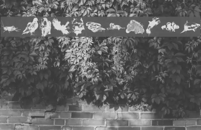 worldbeings Font examples