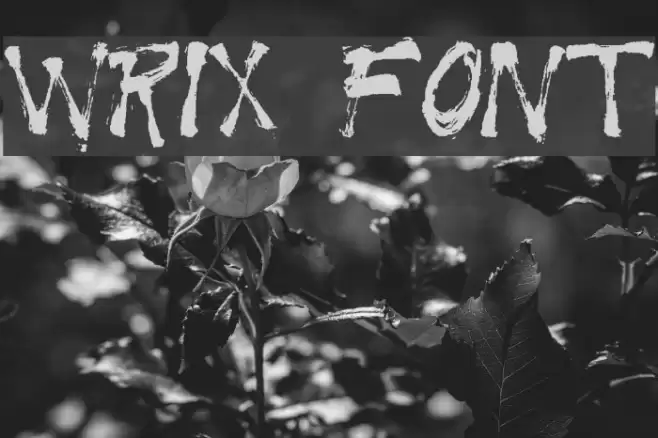 WRIX Font examples