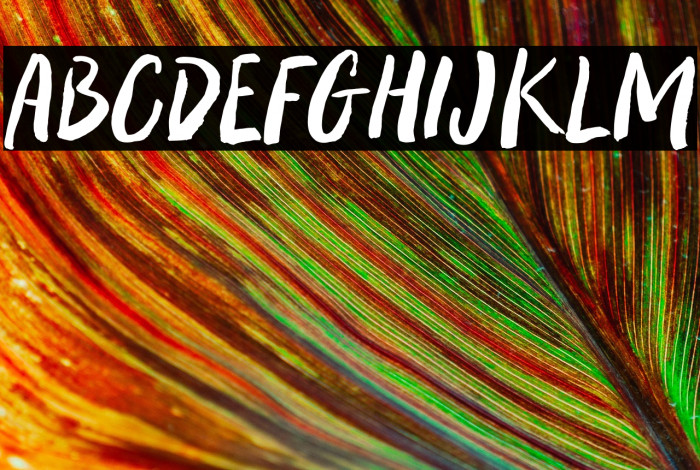 Wreck Effect Example 1