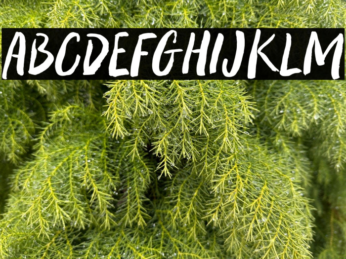 Wreck Effect Example 2