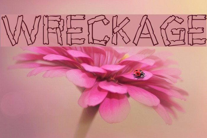 Wreckage Font examples