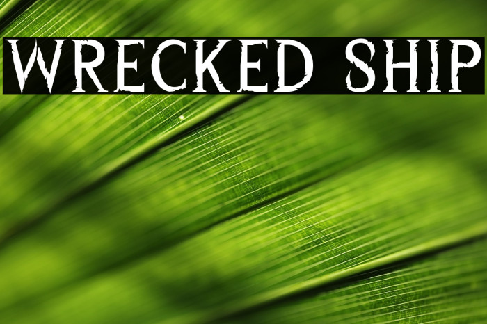 Wrecked Ship Example 3