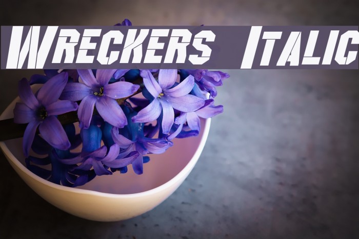 Wreckers Italic Font examples