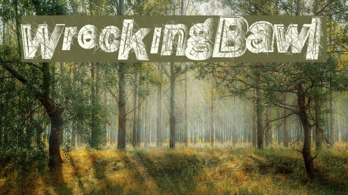 WreckingBawl Font examples