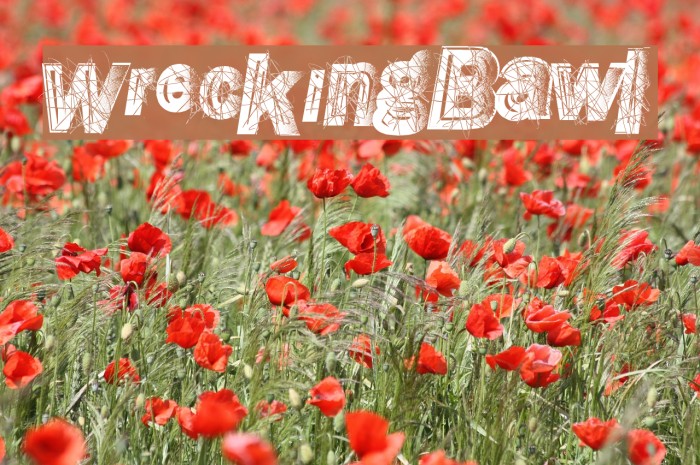 WreckingBawl Font examples