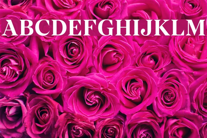 Wremena-Bold Font examples