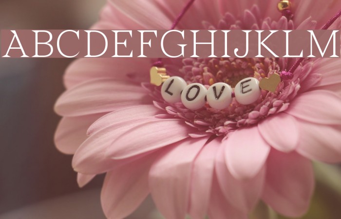 Wremena-Light Font examples