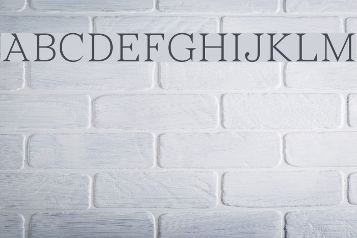 Wremena-Light Font examples