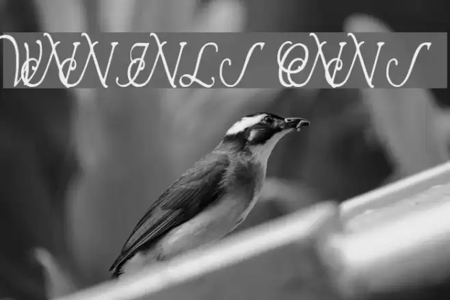 Wrenn Initials Condensed Font examples