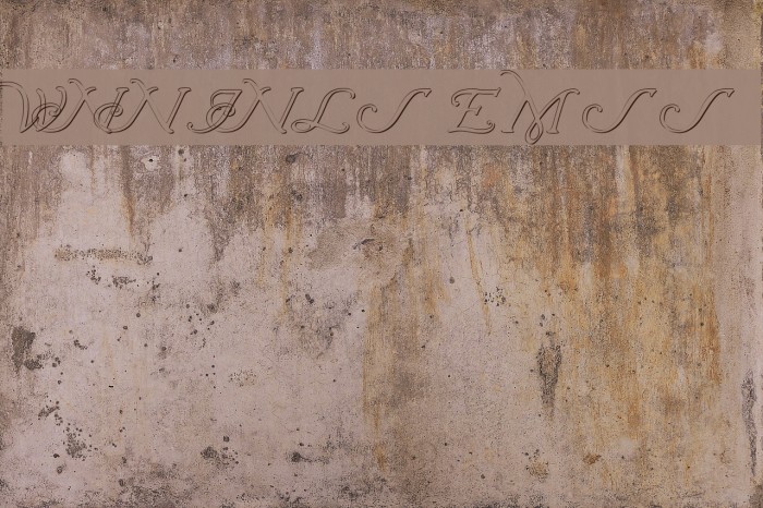 Wrenn Initials Embossed Font examples