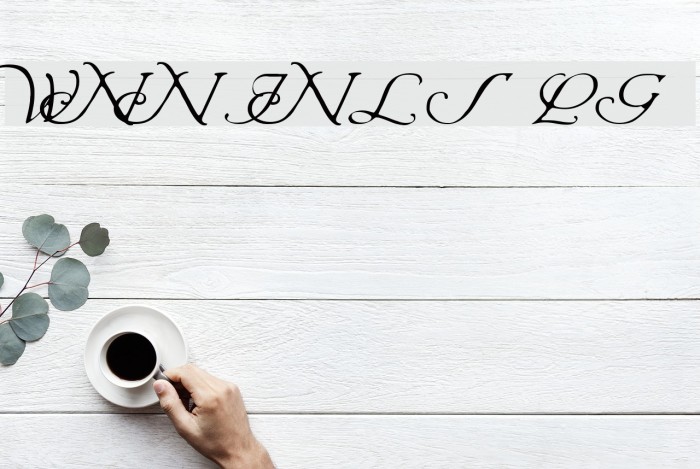 Wrenn Initials Light Font examples
