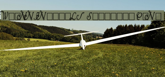 Wrenn Initials Shadowed Cond Font examples