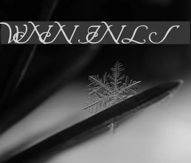 Wrenn Initials Font examples